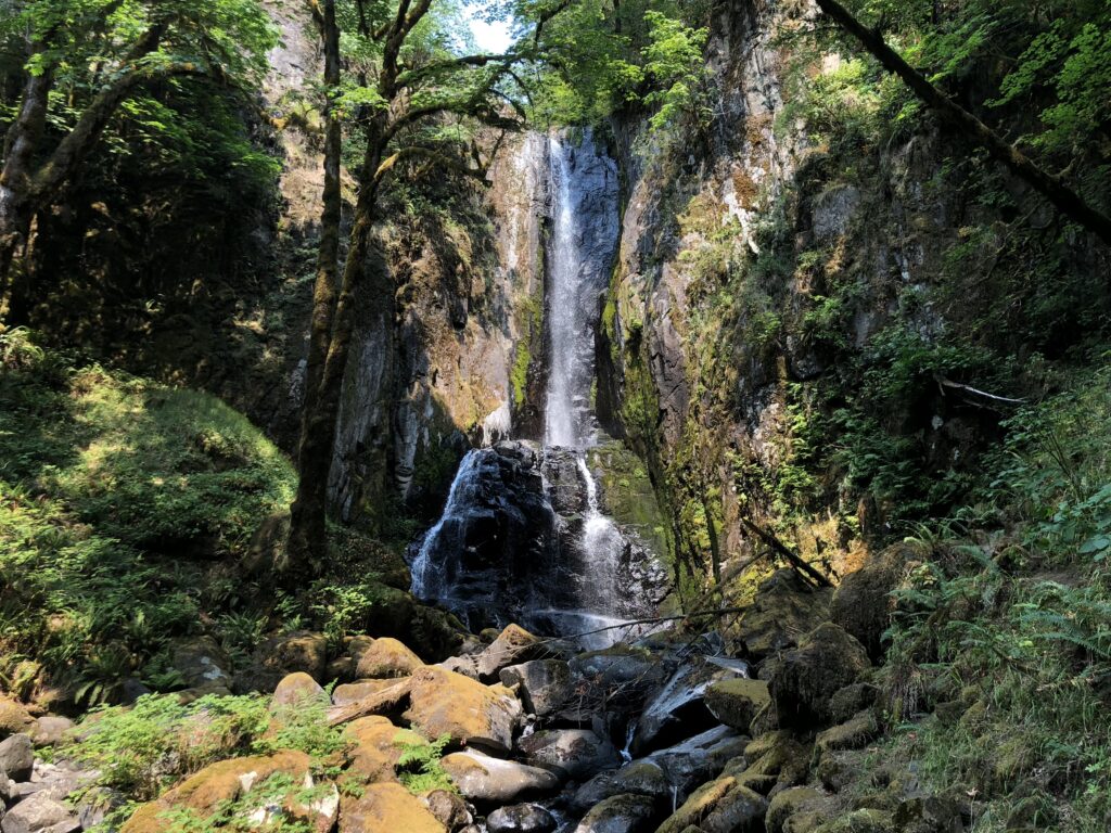 Pacific Northwest Waterfall