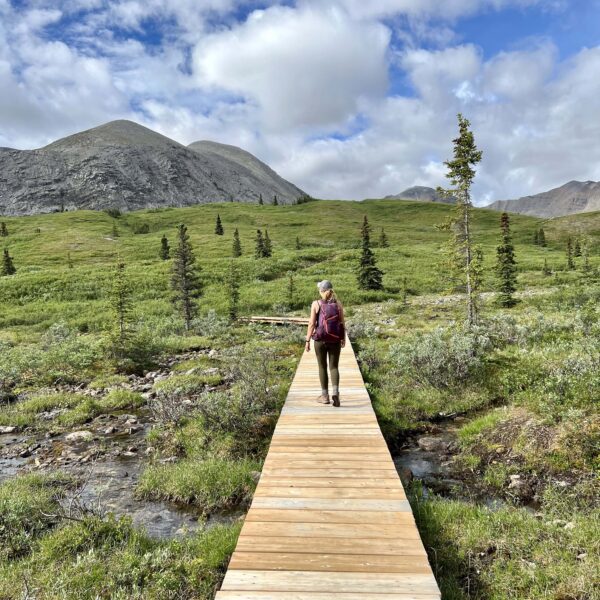 A woman carrying a backpack looks into the distance on a bridge in the wilderness.