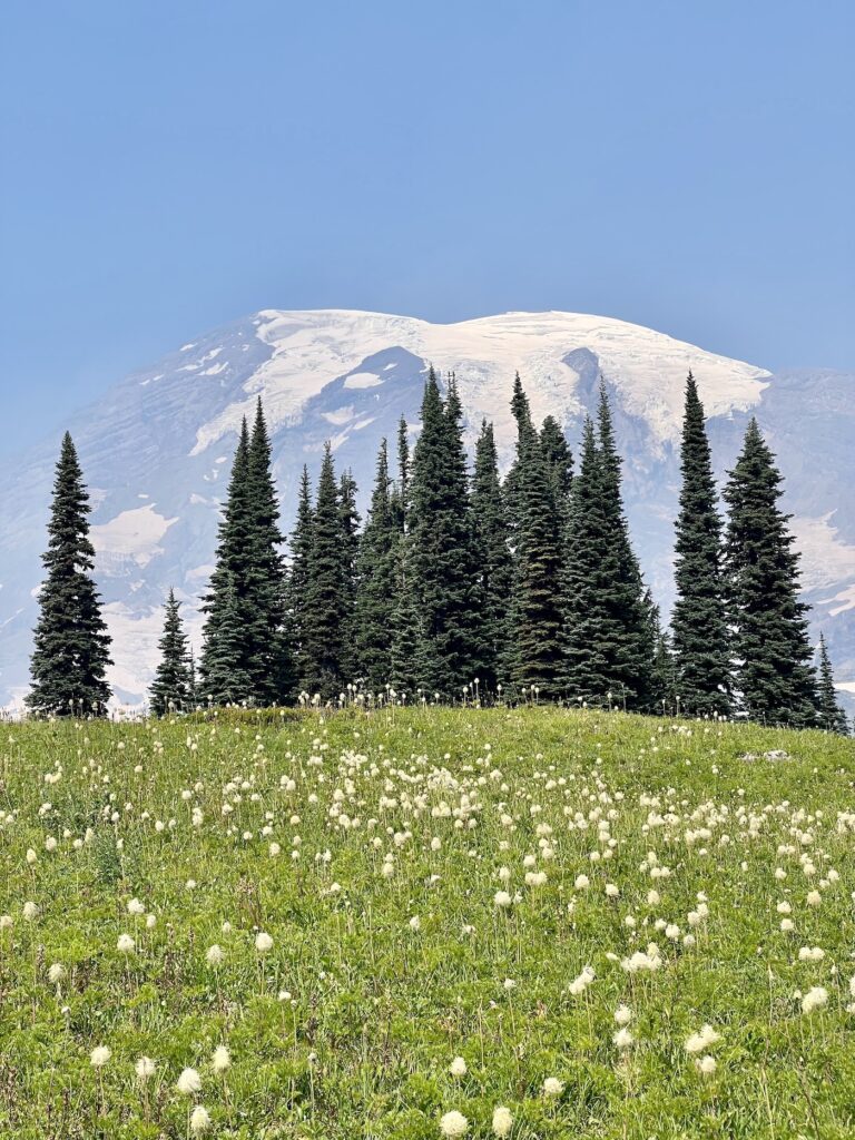 Visit Mount Rainier on the Pacific Pioneer