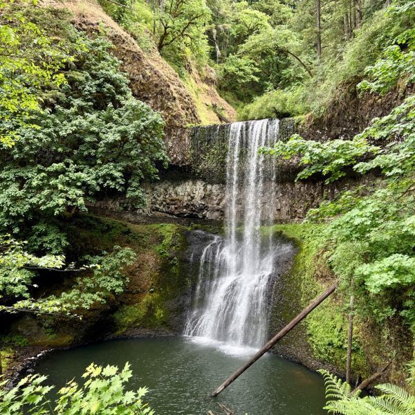 Waterfall on the Trail of Ten Falls at Silver Falls State Park