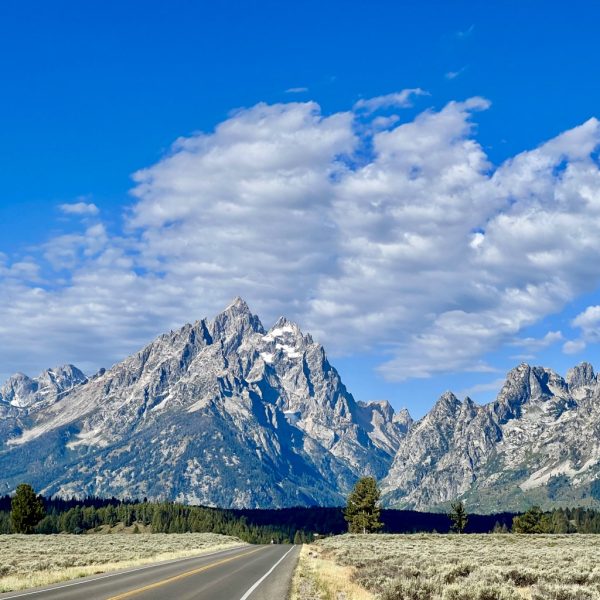 A road winds towards the Grand Tetons.