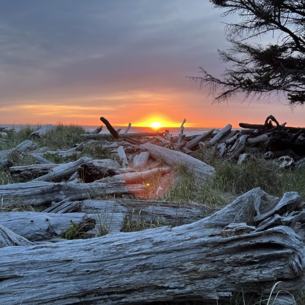 A sunset over drift wood on the coast of Washington.