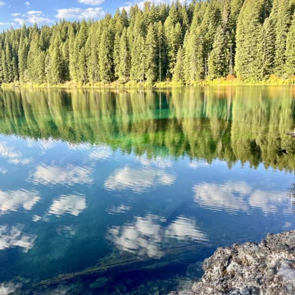 Douglas Fir trees reflecting in an azure blue lake.