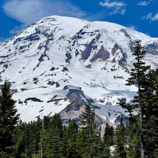 Mount Rainier stands prominent against the trees on the Northwest Quest near Seattle, Washington