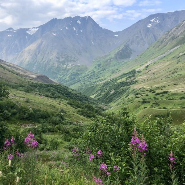 Hiking trail in Girdwood, Alaska on a camping adventure.