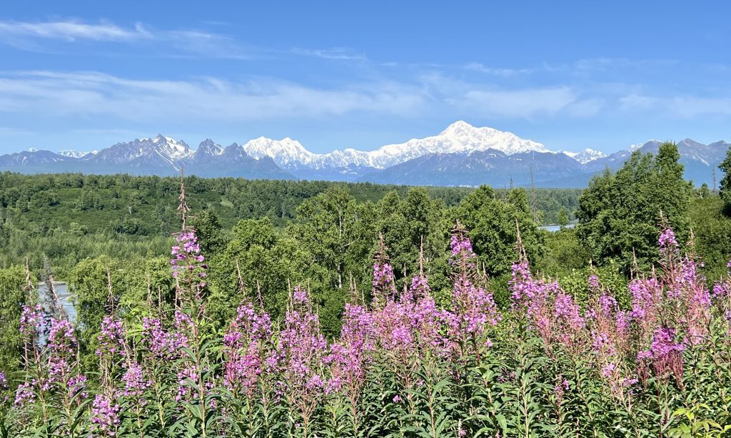 Alaska Camping Trip Reveals Views of Denali