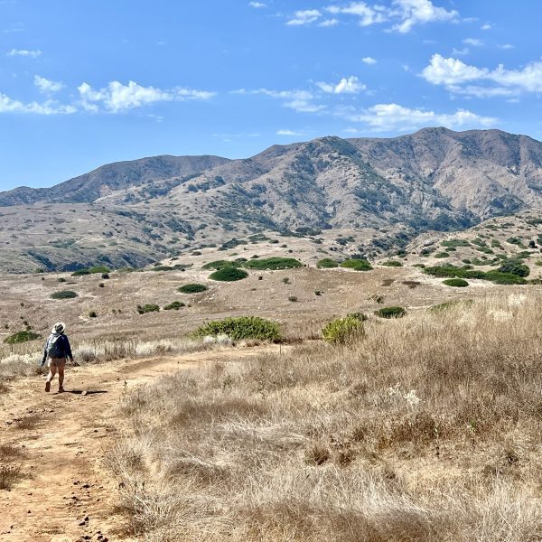 A woman wearing a sun hat hikes on a trail on Santa Cruz Island at Channel Islands National Park
