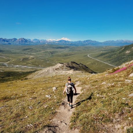 Denali Hiker Woman hiking on a trail with the view of Denali on an Alaska camping adventure