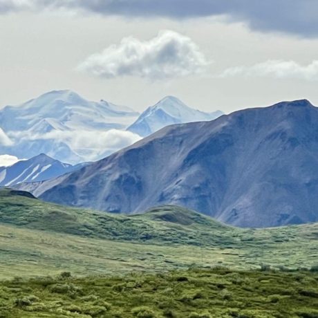 Denali, "The Great One", in the distance on a camping adventure to Denali National Park