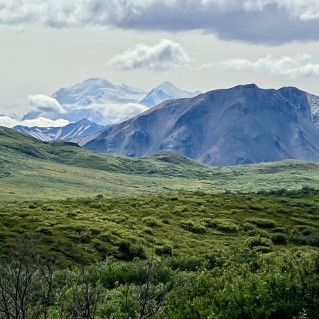 Denali, "The Great One", in the distance on a camping adventure to Denali National Park