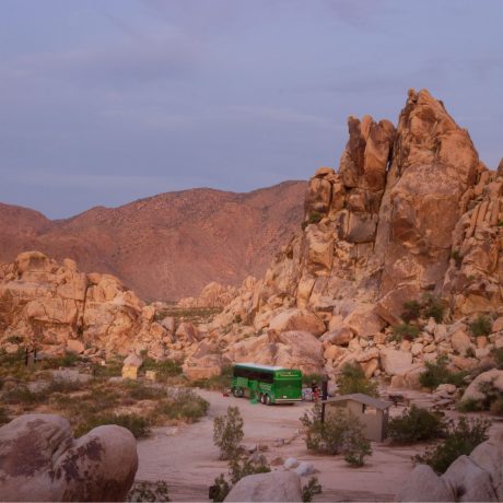joshuatree_bus2